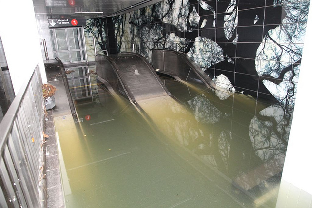 The South Ferry station in Lower Manhattan filled with 25 meters of water from Superstorm Sandy. Researchers recently found 10 bacterial species usually found in cold aquatic environments still present in the station.  Credit: MTA