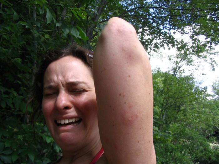 194413891_c798ff8d9e_o (1)