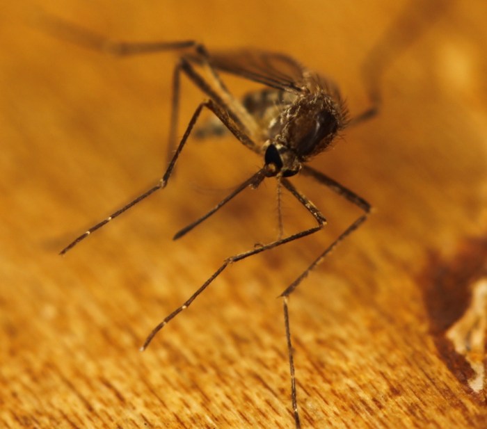 7490426400_753d262663_o