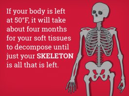 heres-what-happens-to-your-body-after-you-die