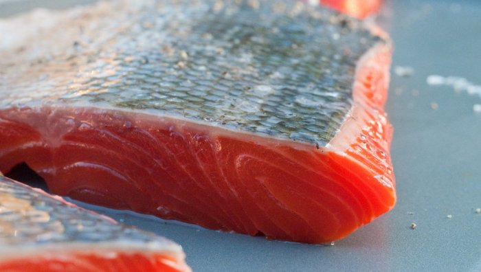 raw salmon
